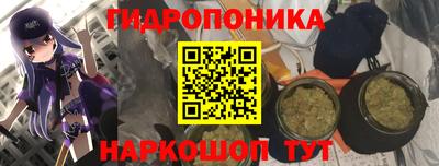 не бодяженный Будённовск