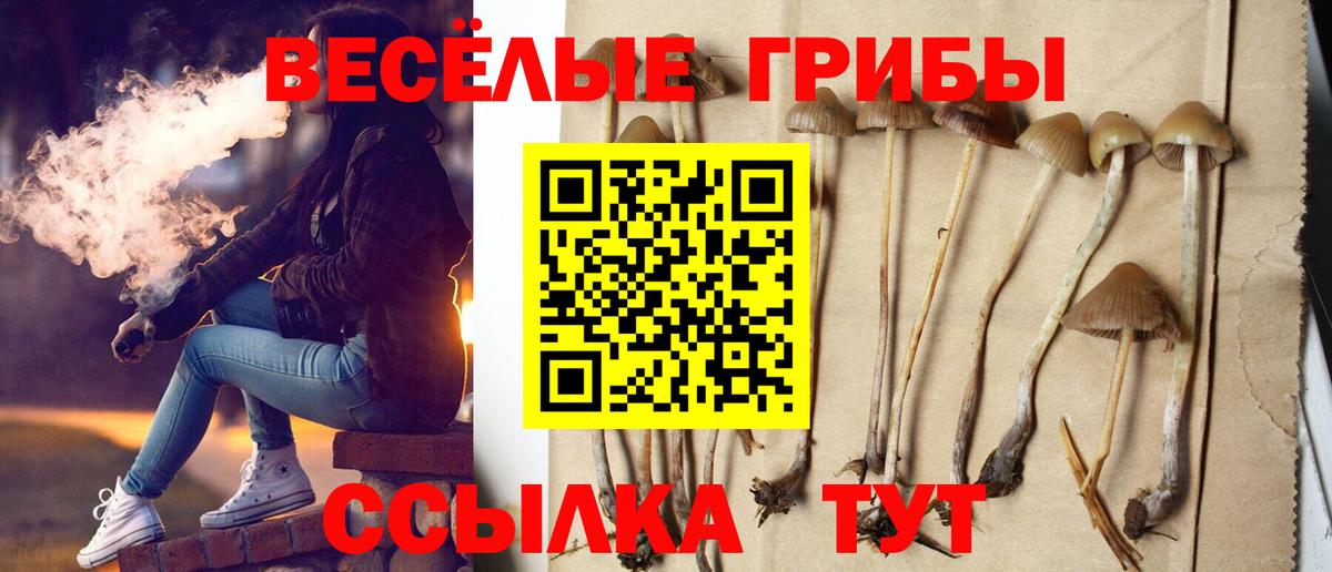 Галлюциногенные грибы прущие грибы Красный Сулин