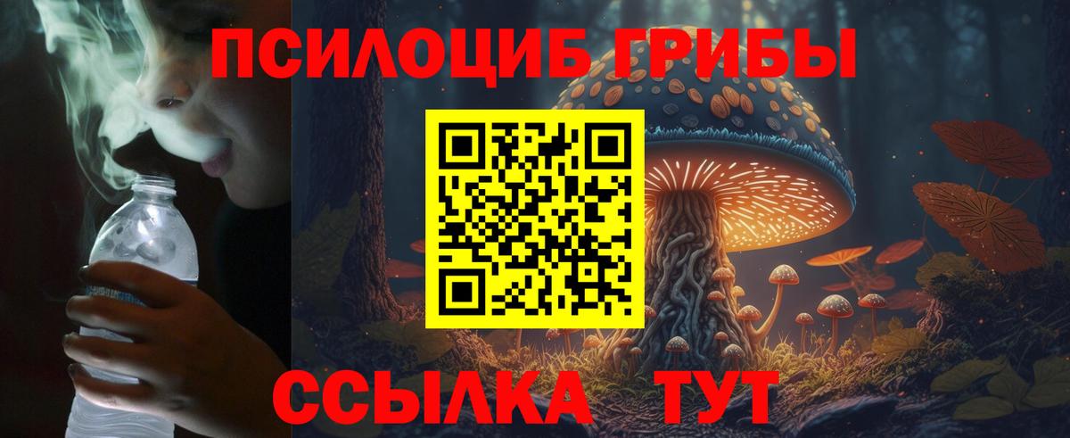 Красный Сулин  Псилоцибиновые грибы GOLDEN TEACHER  Вход с VPN 